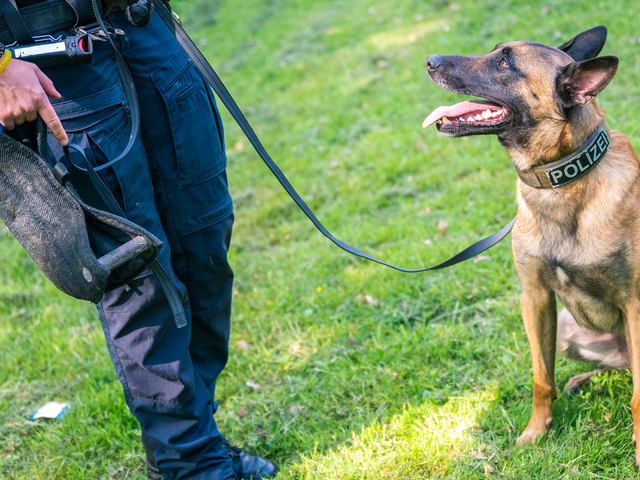 Wie kann ich den Geruch von Drogen vor Polizeihunden verbergen?